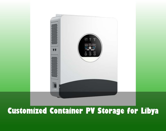 Customized Container PV Storage for Libya